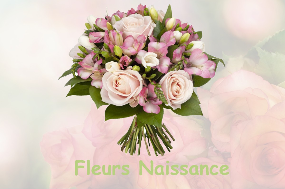 fleurs naissance FOUSSAIS-PAYRE